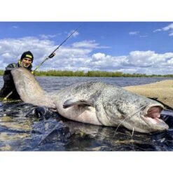 Canne Silure Black Cat Perfect Passion XH-S (462g - 3m00 - Max 350g - 2 - 150cm) 9 Canne Silure Black Cat Perfect Passion XH-S (462g - 3m00 - Max 350g - 2 - 150cm) -Pechpro Magasin canne silure black cat perfect passion xh s 462g 3m00 max 350g 2 150cm 3