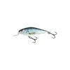 Poisson Nageur Salmo Executor (EX12SR - RD - Real Dace) 2 Poisson Nageur Salmo Executor (EX12SR - RD - Real Dace) -Pechpro Magasin poisson nageur salmo executor ex12sr rd real dace