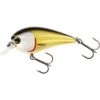 Poisson Nageur Westin Bassbite Squarebill 7cm (Official Roach) -Pechpro Magasin poisson nageur westin bassbite squarebill 7cm official roach