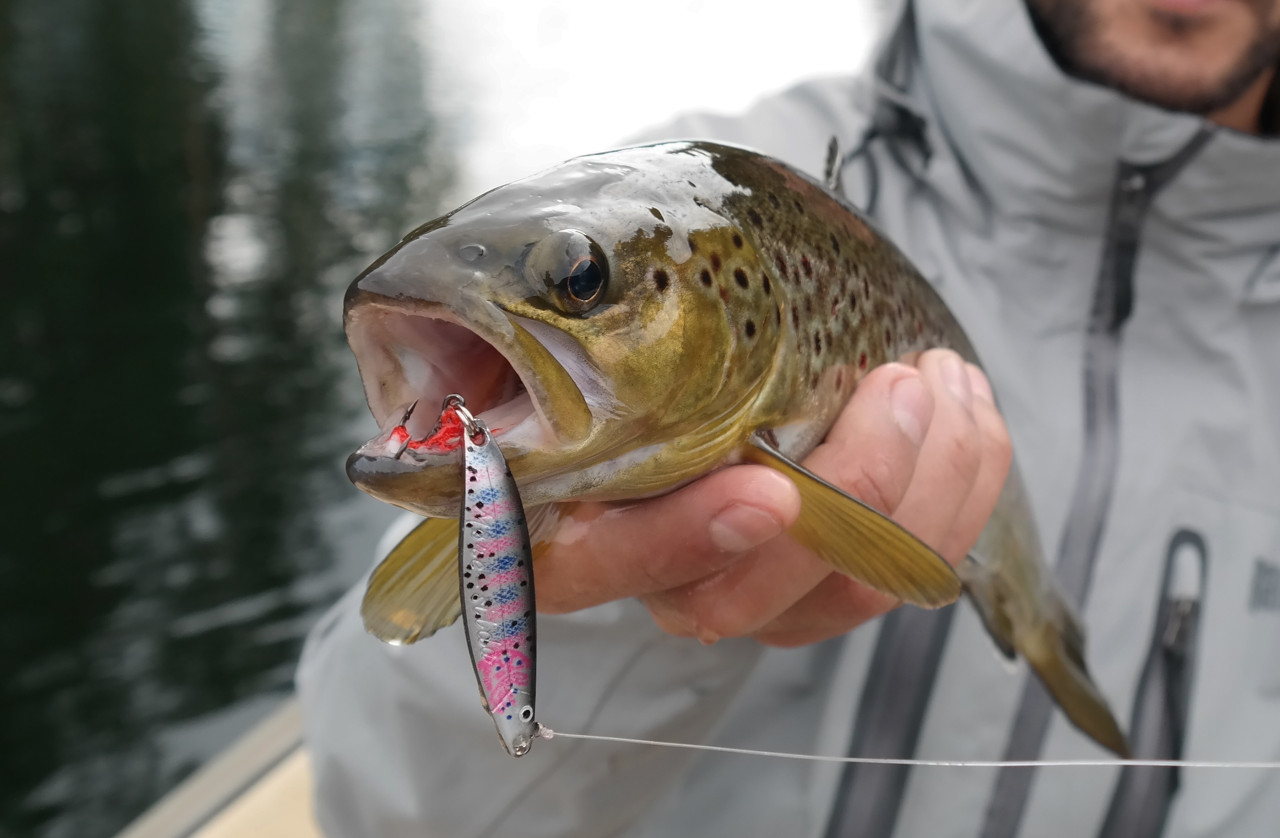 Pechpro Magasin -Pechpro Magasin LTD RT 1280x838 1