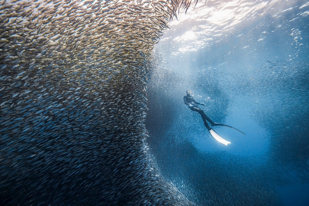 Pechpro Magasin -Pechpro Magasin image